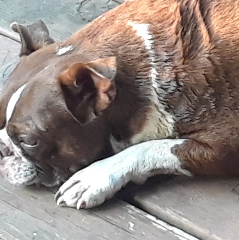 Meet your Posher, Rick